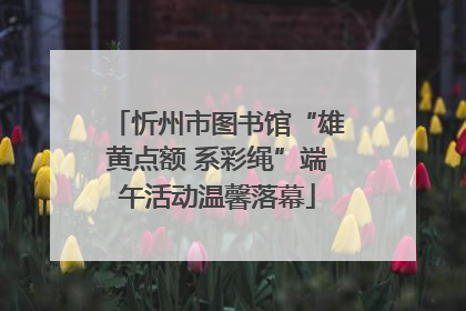 忻州市图书馆“雄黄点额 系彩绳”端午活动温馨落幕