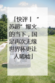 快评丨“苏超”爆火的当下，国足再次无缘世界杯更让人唏嘘