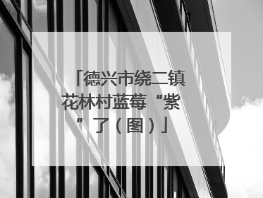 德兴市绕二镇花林村蓝莓“紫”了（图）