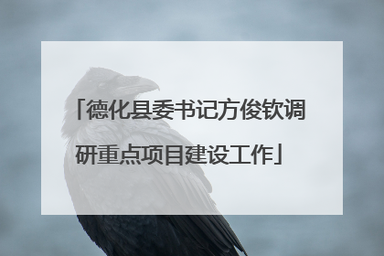 德化县委书记方俊钦调研重点项目建设工作