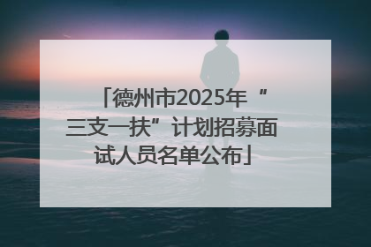 德州市2025年“三支一扶”计划招募面试人员名单公布