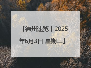 德州速览丨2025年6月3日 星期二