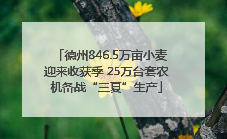 德州846.5万亩小麦迎来收获季 25万台套农机备战“三夏”生产