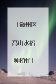 徽州区高山水稻种植忙