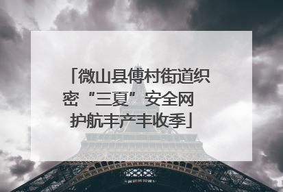 微山县傅村街道织密“三夏”安全网 护航丰产丰收季