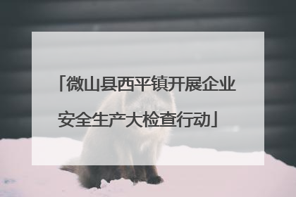 微山县西平镇开展企业安全生产大检查行动