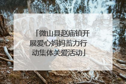 微山县赵庙镇开展爱心妈妈蓄力行动集体关爱活动