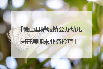微山县驩城镇公办幼儿园开展期末业务检查