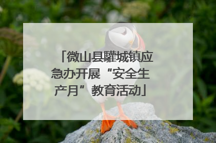 微山县驩城镇应急办开展“安全生产月”教育活动