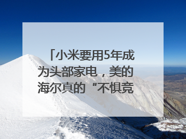 小米要用5年成为头部家电，美的海尔真的“不惧竞争”？｜热财经