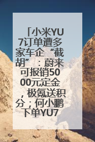 小米YU7订单遭多家车企“截胡”：蔚来可报销5000元定金，极氪送积分；何小鹏下单YU7，喊话雷军早点交付
