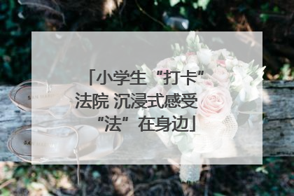 小学生“打卡”法院 沉浸式感受“法”在身边