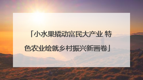 小水果撬动富民大产业 特色农业绘就乡村振兴新画卷
