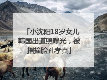小沈阳18岁女儿韩国出道照曝光，被指撞脸孔孝真