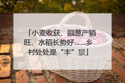 小麦收获、圆葱产销旺、水稻长势好……乡村处处是“丰”景