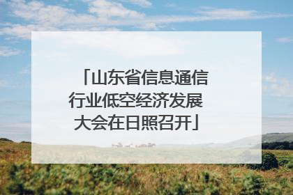 山东省信息通信行业低空经济发展大会在日照召开