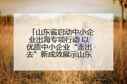 山东省启动中小企业出海专项行动 以优质中小企业“走出去”新成效展示山东产业发展新形象
