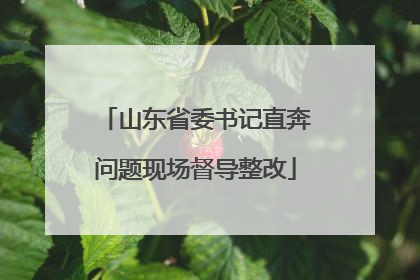 山东省委书记直奔问题现场督导整改
