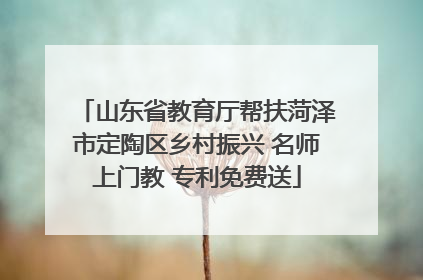 山东省教育厅帮扶菏泽市定陶区乡村振兴 名师上门教 专利免费送