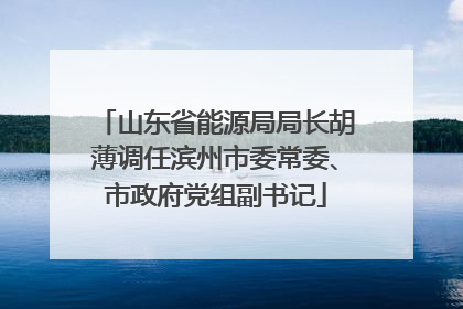 山东省能源局局长胡薄调任滨州市委常委、市政府党组副书记