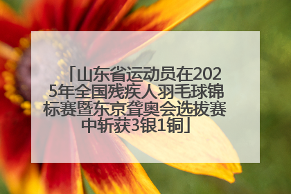山东省运动员在2025年全国残疾人羽毛球锦标赛暨东京聋奥会选拔赛中斩获3银1铜