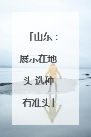 山东：展示在地头 选种有准头