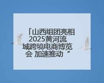 山西组团亮相2025黄河流域跨境电商博览会 加速推动“晋品出海”