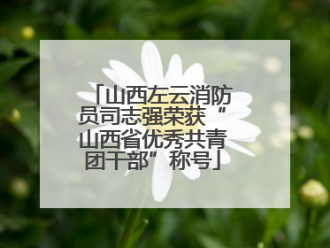 山西左云消防员司志强荣获“山西省优秀共青团干部”称号