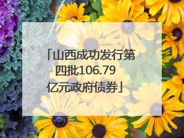 山西成功发行第四批106.79亿元政府债券