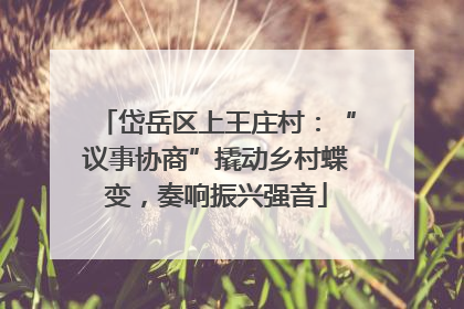 岱岳区上王庄村：“议事协商”撬动乡村蝶变，奏响振兴强音