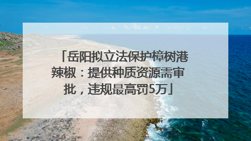 岳阳拟立法保护樟树港辣椒：提供种质资源需审批，违规最高罚5万