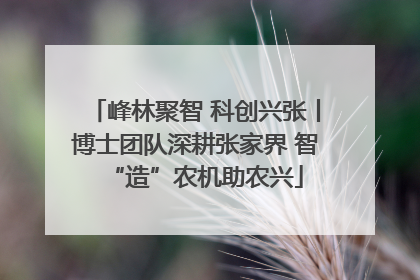 峰林聚智 科创兴张丨博士团队深耕张家界 智“造”农机助农兴