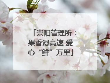 崇阳管理所：果香漫高速 爱心“鲜”万里