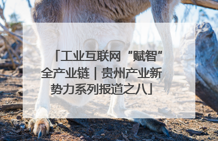 工业互联网“赋智”全产业链｜贵州产业新势力系列报道之八