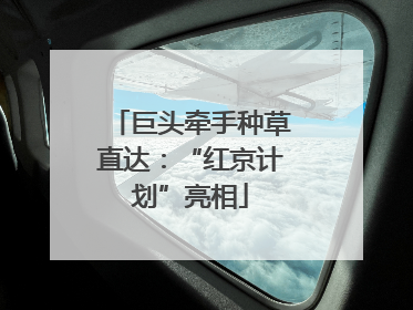 巨头牵手种草直达：“红京计划”亮相