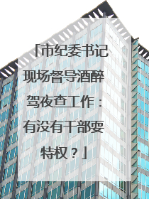 市纪委书记现场督导酒醉驾夜查工作：有没有干部耍特权？