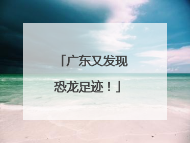 广东又发现恐龙足迹！