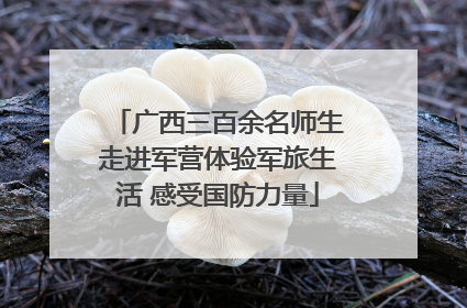广西三百余名师生走进军营体验军旅生活 感受国防力量