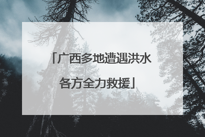广西多地遭遇洪水 各方全力救援