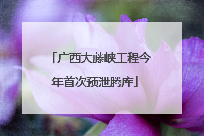 广西大藤峡工程今年首次预泄腾库