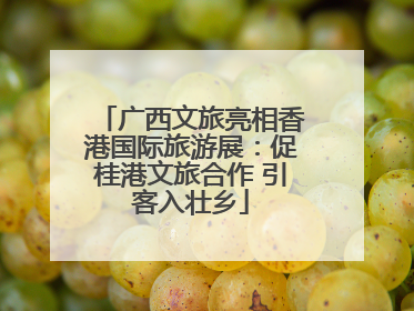 广西文旅亮相香港国际旅游展：促桂港文旅合作 引客入壮乡