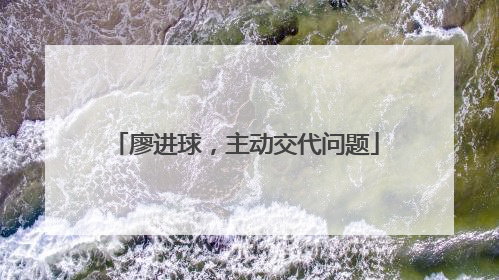 廖进球，主动交代问题