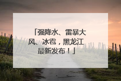 强降水、雷暴大风、冰雹，黑龙江最新发布！