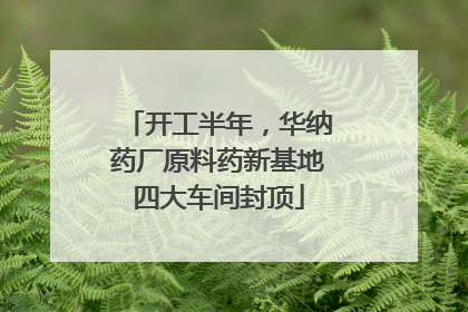 开工半年，华纳药厂原料药新基地四大车间封顶