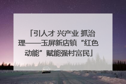 引人才 兴产业 抓治理——玉屏新店镇“红色动能”赋能强村富民