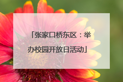 张家口桥东区：举办校园开放日活动