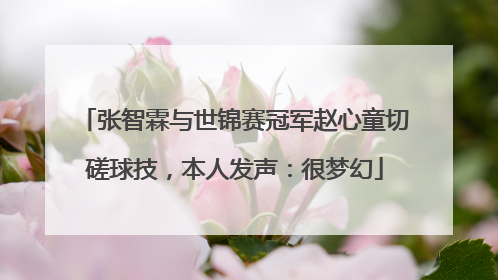 张智霖与世锦赛冠军赵心童切磋球技，本人发声：很梦幻