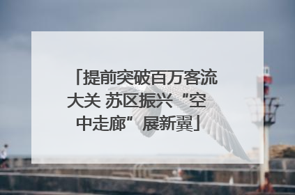 提前突破百万客流大关 苏区振兴“空中走廊”展新翼