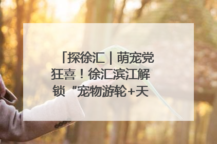 探徐汇｜萌宠党狂喜！徐汇滨江解锁“宠物游轮+天台乐园”双玩法