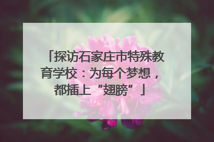 探访石家庄市特殊教育学校：为每个梦想，都插上“翅膀”